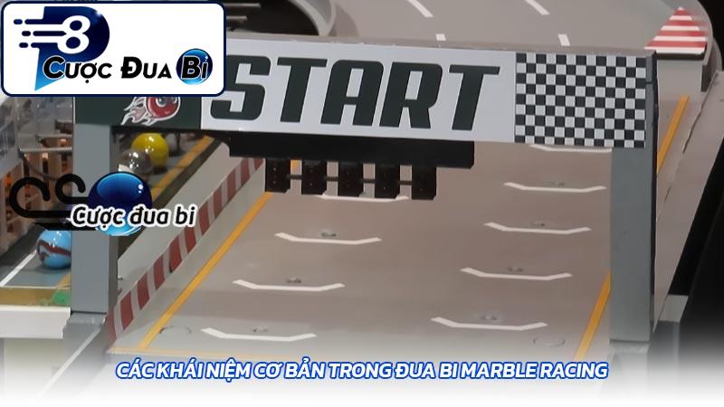 Các khái niệm cơ bản trong đua bi Marble Racing