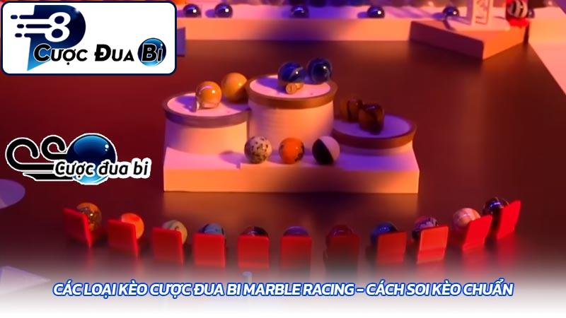 Các loại kèo cược đua bi Marble Racing - Cách soi kèo chuẩn