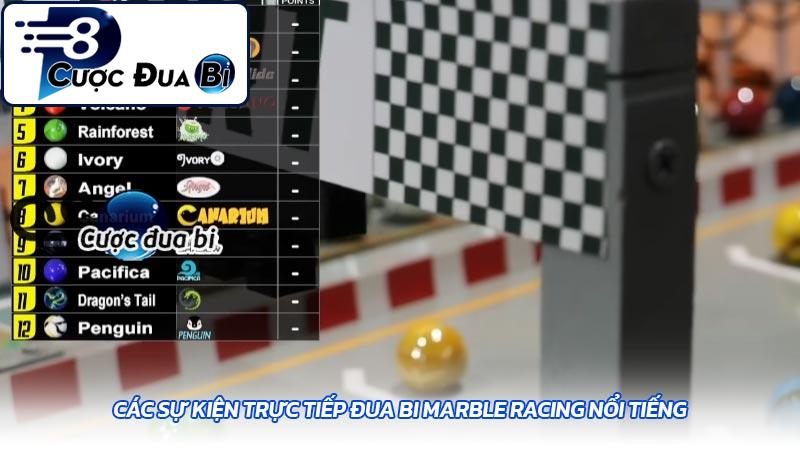 Các sự kiện trực tiếp đua bi Marble Racing nổi tiếng