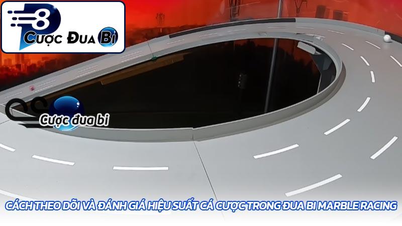 Cách theo dõi và đánh giá hiệu suất cá cược trong đua bi Marble Racing