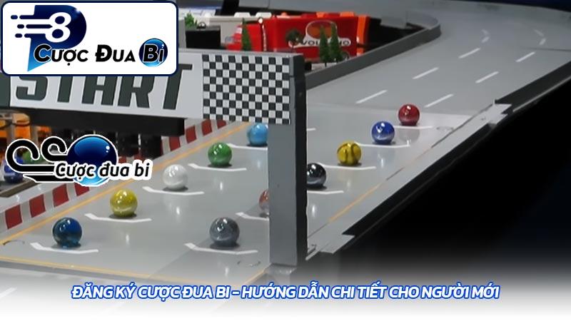 Đăng ký cược đua bi - Hướng dẫn chi tiết cho người mới