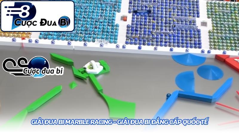 Giải đua bi marble racing - Giải đua bi đẳng cấp quốc tế