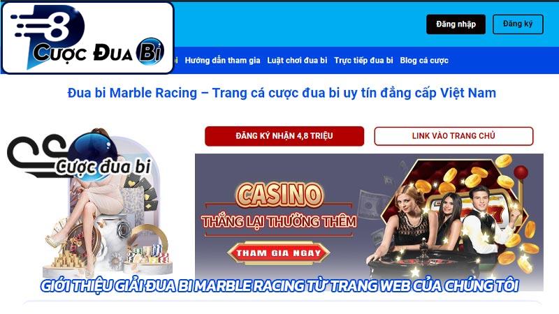 Giới thiệu giải đua bi Marble Racing từ trang web của chúng tôi