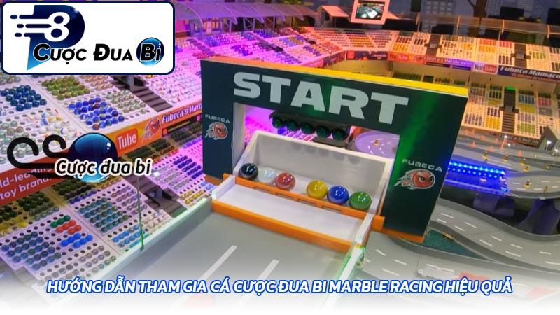 Hướng dẫn tham gia cá cược đua bi Marble Racing hiệu quả