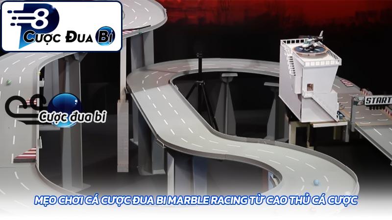 Mẹo chơi cá cược đua bi Marble Racing từ cao thủ cá cược