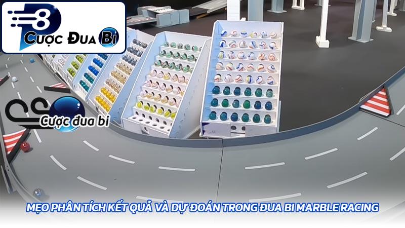 Mẹo phân tích kết quả và dự đoán trong đua bi Marble Racing