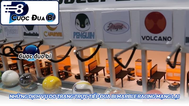 Những dịch vụ do trang trực tiếp đua bi Marble Racing mạng lại