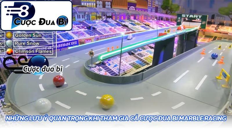 Những lưu ý quan trọng khi tham gia cá cược đua bi Marble Racing