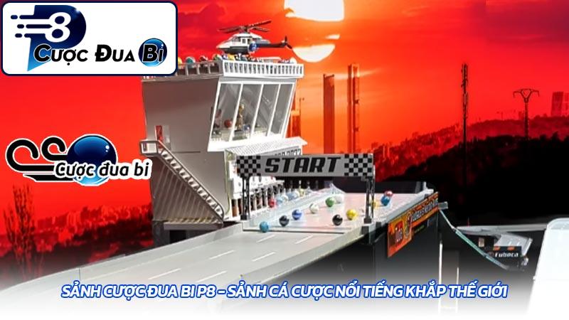 Sảnh cược đua bi P8 - Sảnh cá cược nổi tiếng khắp thế giới