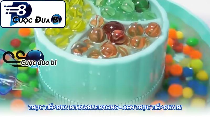 Trực tiếp đua bi Marble Racing - Xem trực tiếp đua bi